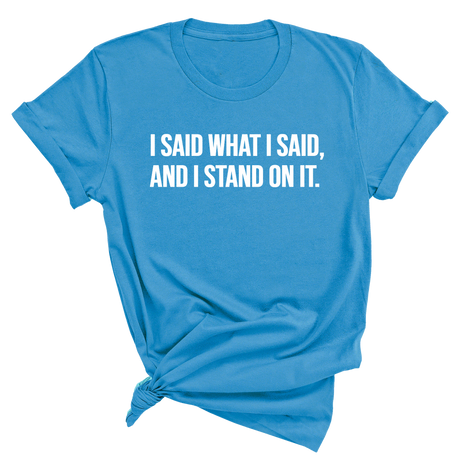 I Said What I Said and I Stand on It Unisex Tee-T-Shirt-The Original God Ain't Petty But I Am