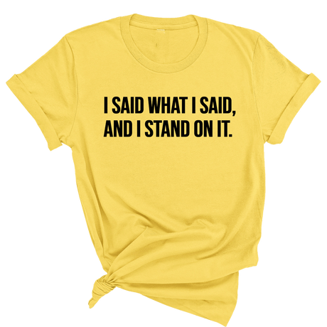I Said What I Said and I Stand on It Unisex Tee-T-Shirt-The Original God Ain't Petty But I Am