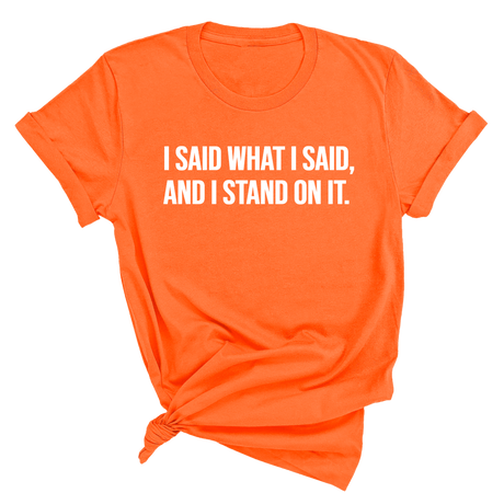 I Said What I Said and I Stand on It Unisex Tee-T-Shirt-The Original God Ain't Petty But I Am