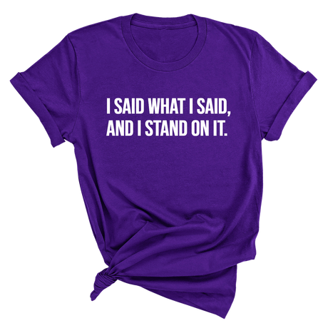 I Said What I Said and I Stand on It Unisex Tee-T-Shirt-The Original God Ain't Petty But I Am