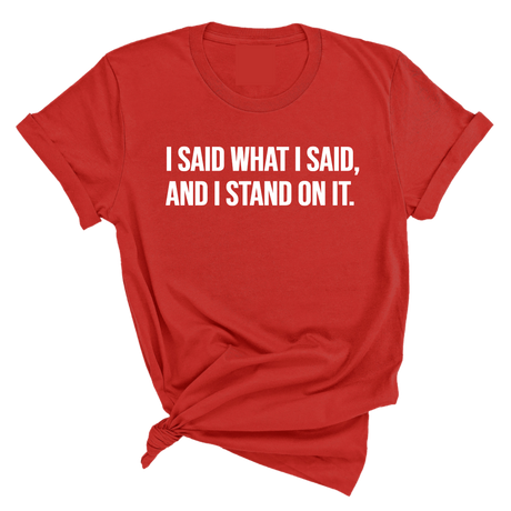 I Said What I Said and I Stand on It Unisex Tee-T-Shirt-The Original God Ain't Petty But I Am