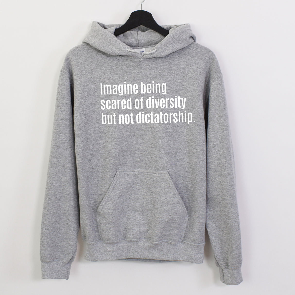 $20 Stockroom Exclusive Hoodie — Imagine Being Scared of Diversity But Not Dictatorship