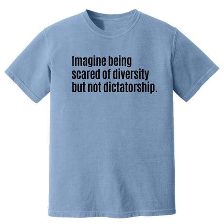 Imagine Being Scared of Diversity but Not Dictatorship Unisex Tee (HEAVYWEIGHT COMFORT COLORS WASHED DENIM)-T-Shirt-The Original God Ain't Petty But I Am