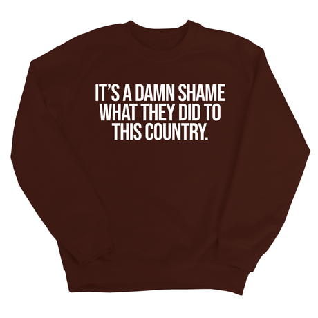 It’s a damn shame what they did to this country Unisex Sweatshirt-Sweatshirt-The Original God Ain't Petty But I Am