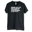 Knowing That A PDF Hates Me Is Fine WIth Me *BLACK V-NECK* Unisex Tee-T-Shirt-The Original God Ain't Petty But I Am