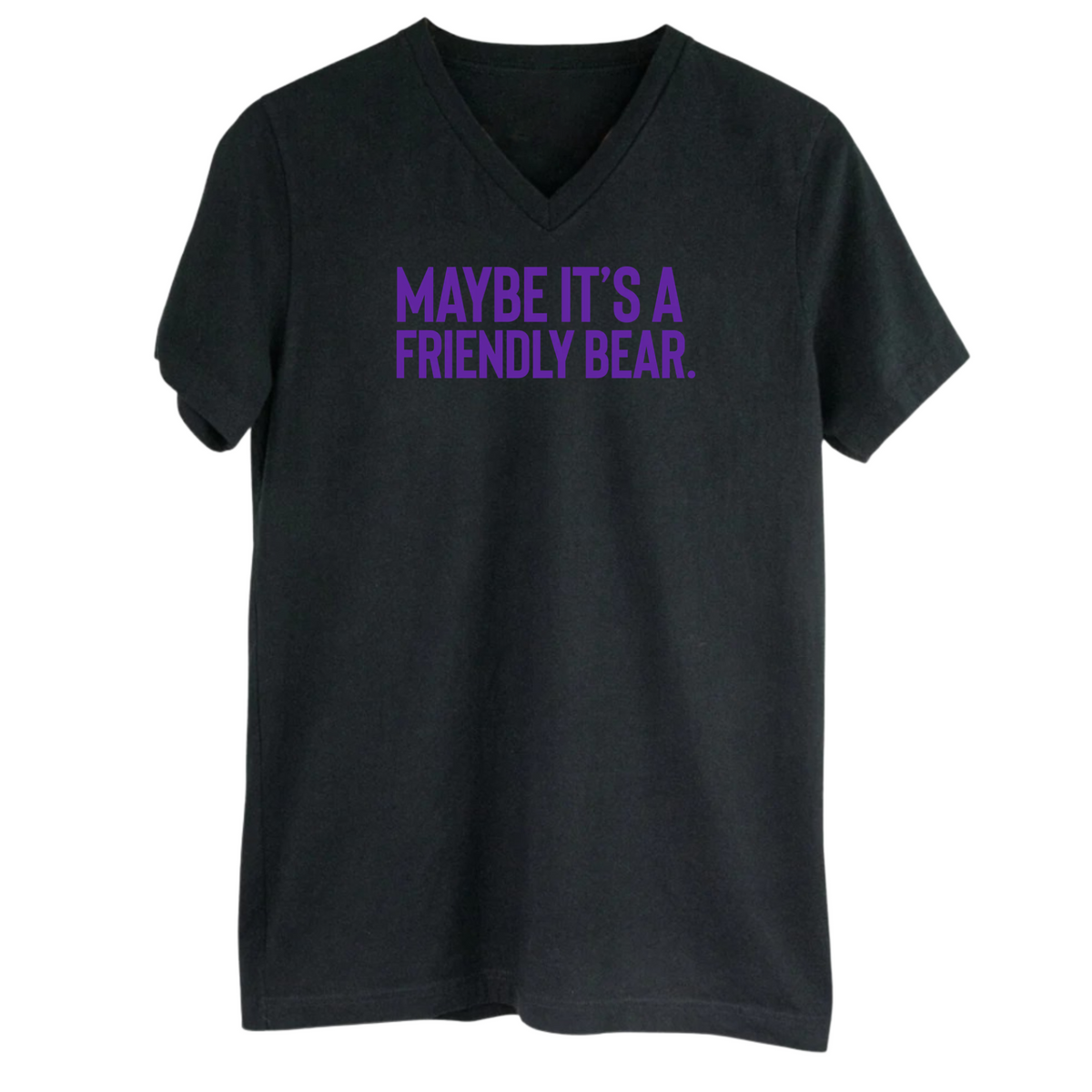 Maybe It’s a Friendly Bear *BLACK V-NECK* Unisex Tee ( PURPLE 💜)-T-Shirt-The Original God Ain't Petty But I Am