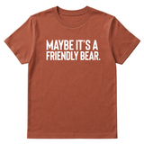 Maybe It’s a Friendly Bear Unisex Tee-T-Shirt-The Original God Ain't Petty But I Am