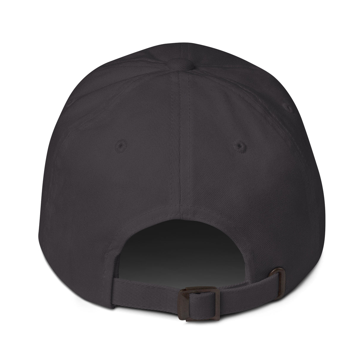 Not Him 2028 Rules Are Rules Dad Hat-Hats-The Original God Ain't Petty But I Am