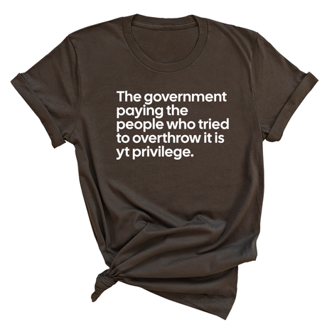 The government paying the people who tried to overthrow it is white privilege Unisex Tee-T-Shirt-The Original God Ain't Petty But I Am
