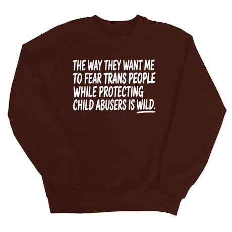 The way they want me to fear trans people while protecting child abusers is wild Unisex Sweatshirt-Sweatshirt-The Original God Ain't Petty But I Am
