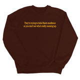 They Trying to Hide Black Excellence So You Don’t See Who’s Really Messing Up Unisex Sweatshirt-Sweatshirt-The Original God Ain't Petty But I Am