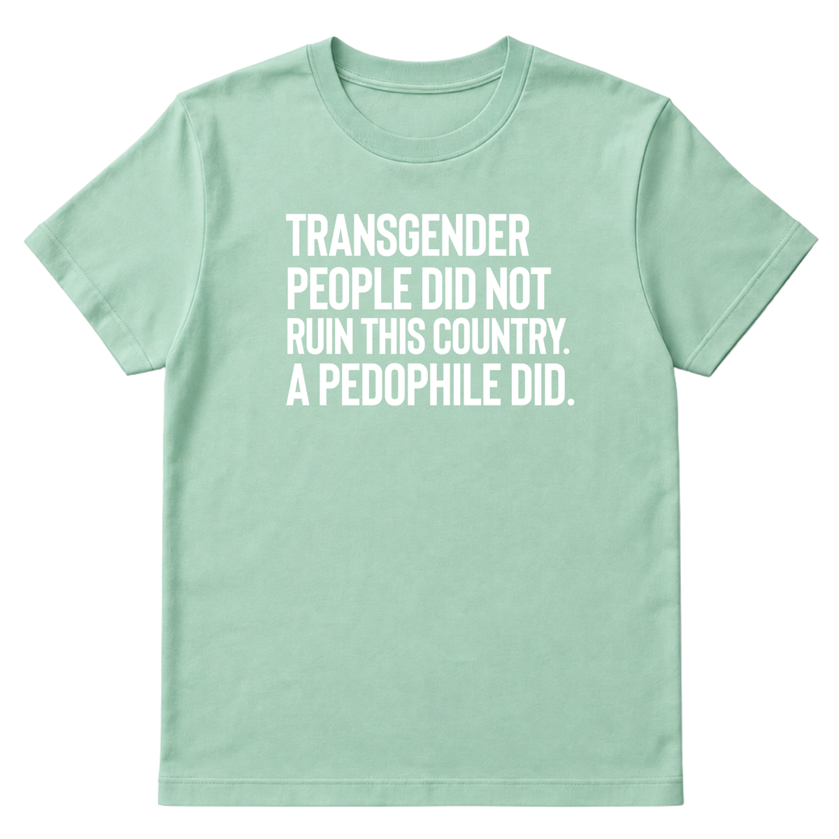 Transgender People Did Not Ruin This Country. A Pedophile Did Unisex Tee