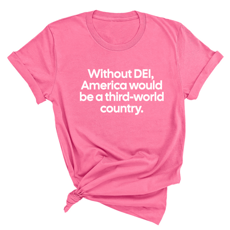 Without DEI, America Would Be a Third-World Country Unisex Tee-T-Shirt-The Original God Ain't Petty But I Am