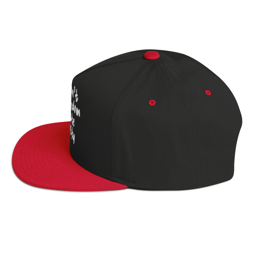 You Can't Love Freedom and Hate Diversity Snapback hat-The Original God Ain't Petty But I Am