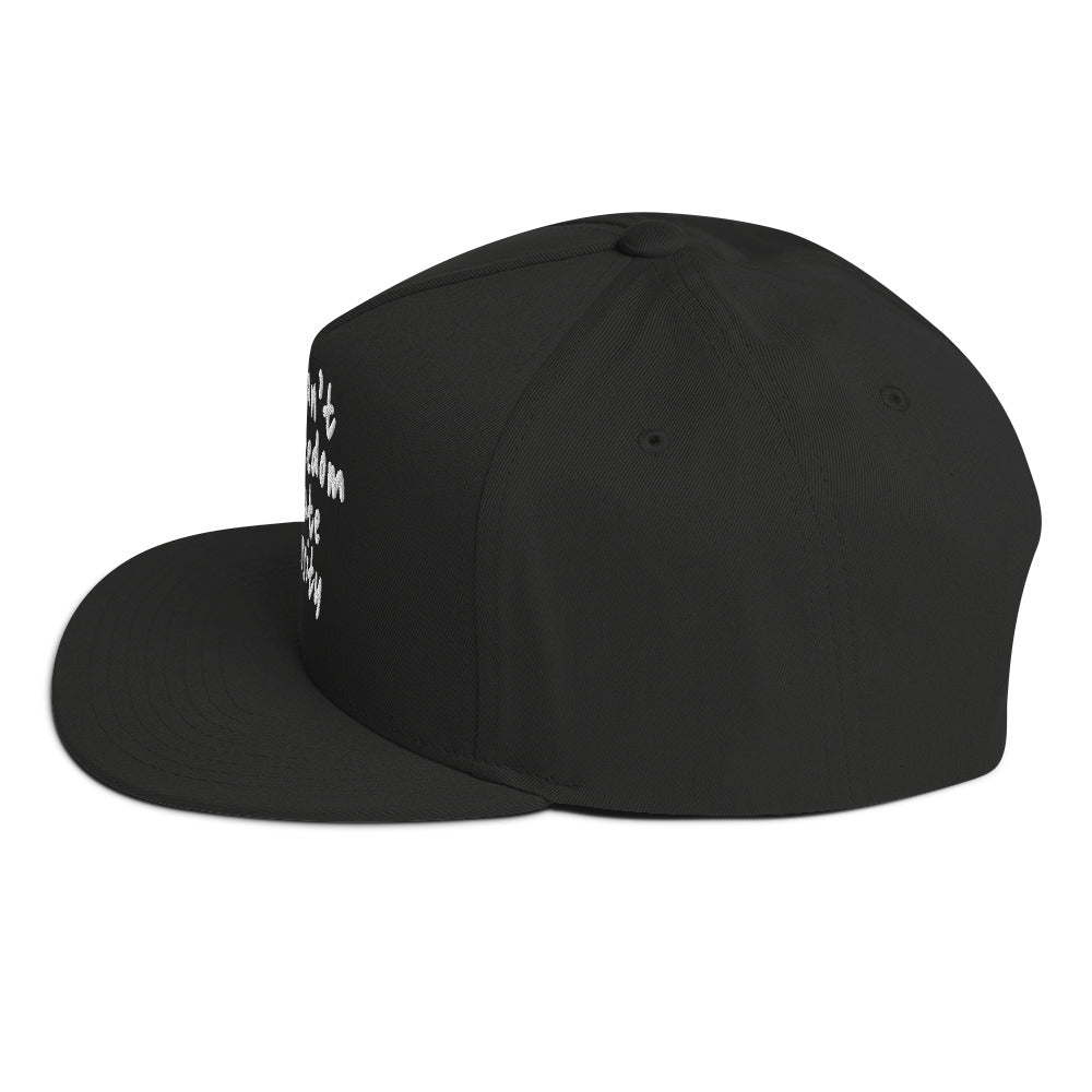 You Can't Love Freedom and Hate Diversity Snapback hat-The Original God Ain't Petty But I Am