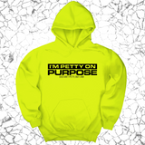 *HOODIE* I'm Petty on Purpose Unisex Hoodie-Hoodie-The Original God Ain't Petty But I Am